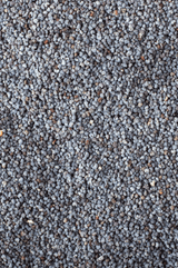 Protein Lemon Poppy - Vegan